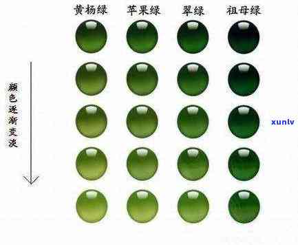 全面指南：挑选翡翠的四大要素，助您轻松选购高品质翡翠