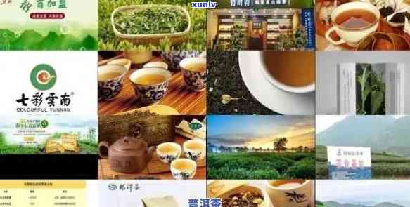 吉安普洱茶招商 *** 大全，为您提供一站式招商咨询和合作机会