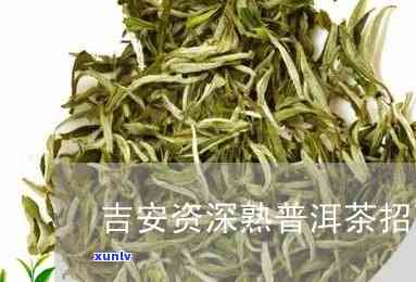 吉安普洱茶招商 *** 大全，为您提供一站式招商咨询和合作机会