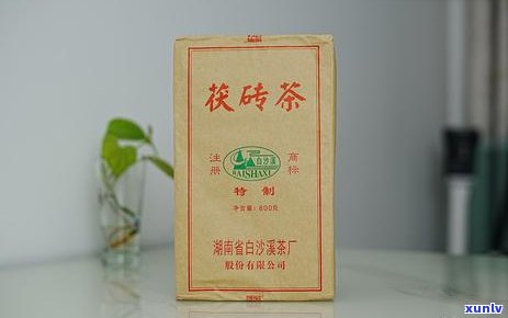 白沙溪茶机泡普洱茶全方位指南：从选茶到冲泡，教你轻松掌握普洱茶的泡法！