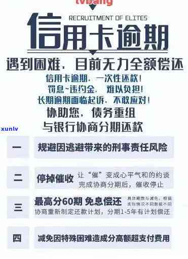 信用卡逾期销户对未来信用卡申请与使用的影响分析：一张信用卡的知识大全