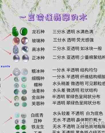 挑选翡翠时如何评估种水品质：实用攻略与专业技巧