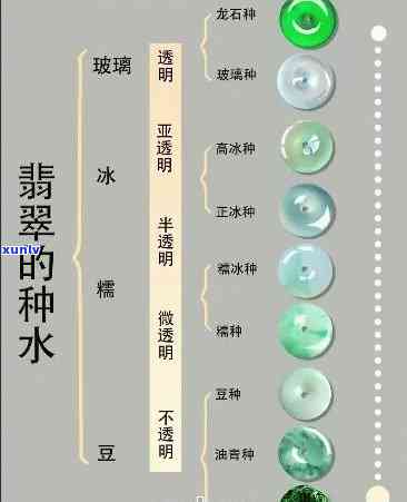 揭秘翡翠种水色：掌握这三大要素，轻松看懂翡翠品质