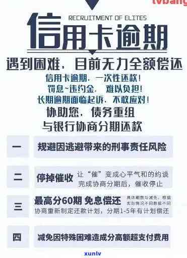 沈阳信用卡逾期问题全面解决方案：律师协助、法律咨询与实际操作指导