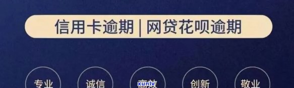 沈阳信用卡逾期问题全面解决方案：律师协助、法律咨询与实际操作指导