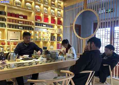 中国普洱茶 *** 店十大排行榜：权威指南与成功秘诀