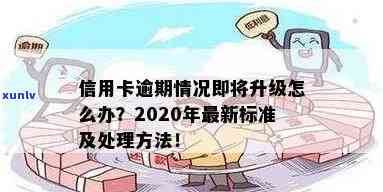 2020年信用卡还款新规定：逾期处理标准及解读