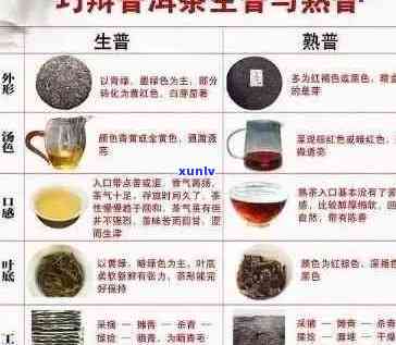 普洱茶是什么类型的茶种及茶叶类别