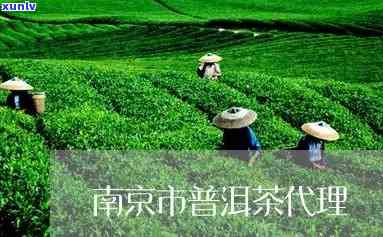 南京普洱茶加盟 ***  *** 与地址信息