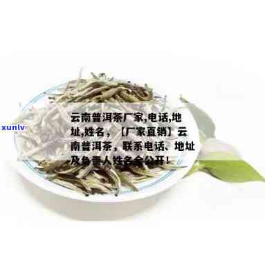 云南古树普洱茶专业 *** 企业，茶叶供应商