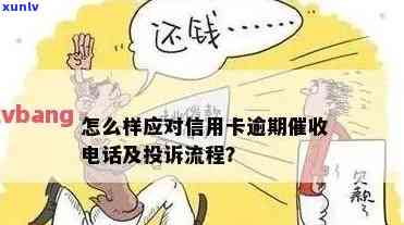 被信用卡可以报警吗？如何处理和举报？