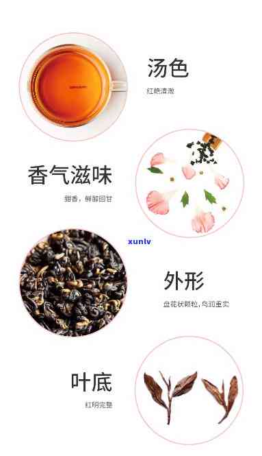 红宝石茶：一种璀璨如宝石的茶叶品种探析