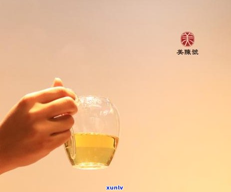 探究普洱茶：生茶与熟茶的差异及其独特魅力