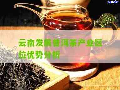 云南普洱茶区位分析：生产优势与地域特色