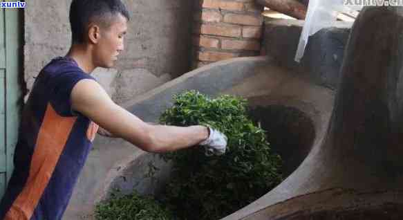 普洱茶机制手工 *** 详解：工艺流程与独特风味的探究