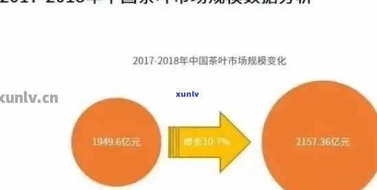 普洱茶盈利能力分析