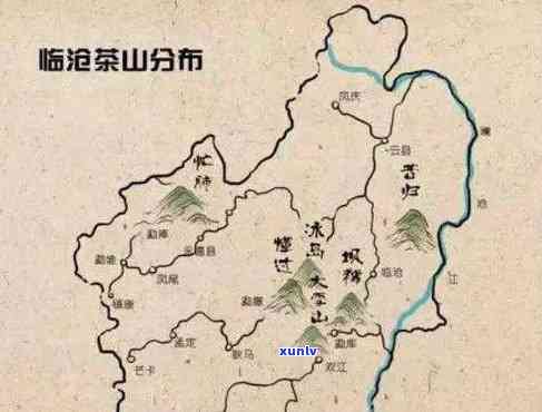 探寻普洱生茶山头特色：口感、特点与地域文化之旅