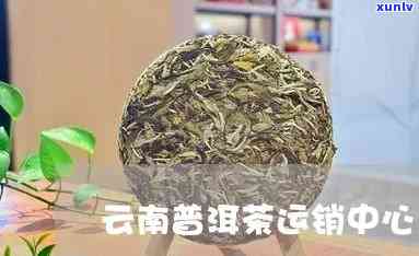 云南普洱茶物流分析