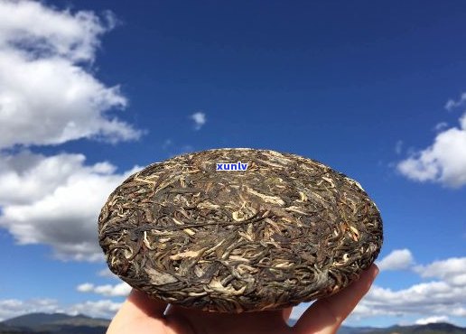 冰岛古树纯正普洱生茶饼：源自阿里的茶香传承