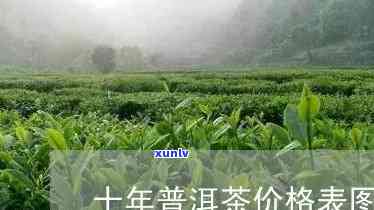 十年后普洱茶价格表