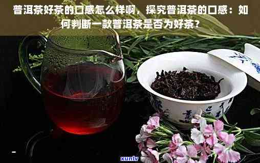 普洱茶口感怎么分析