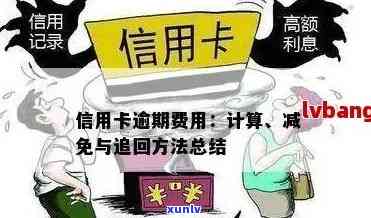 信用卡逾期费用申请减免与追回全攻略：标准、收取与避免