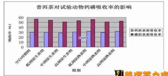 普洱茶饮用对钙吸收的影响及相关研究：长期饮用是否导致钙流失？