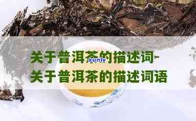 用一句话形容普洱茶