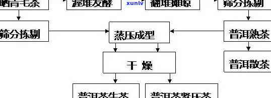 如何成为河源普洱茶的加盟 *** 商？全面解析 *** 流程和要求