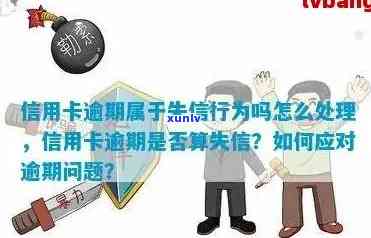 如何解决失信信用卡逾期问题：全面指南和实用建议