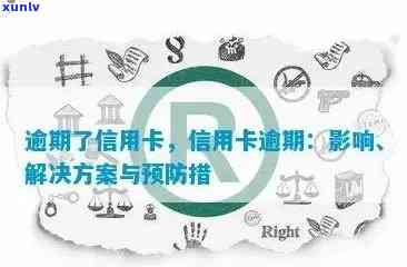 海堂普洱茶：品质越，口感令人醉的好茶