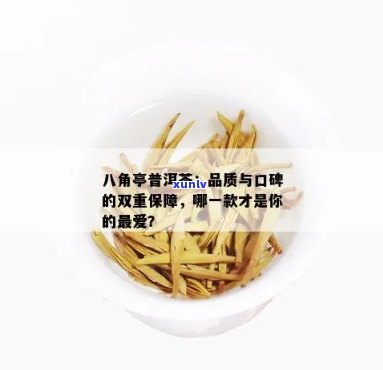 八角亭普洱标杆产品：全方位解析与品鉴，了解优质普洱茶的关键要素