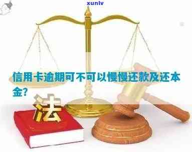 信用卡逾期还款：几年后还本金是否可行？