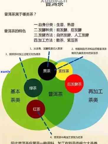 普洱茶加盟招商：全面解决方案、盈利模式、市场前景及成功案例分析