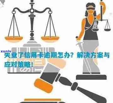 信用卡逾期报失信人员全方位处理指南：如何挽回信用、解决问题与预防措