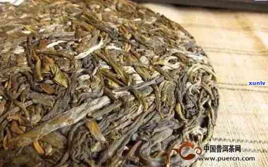 绍兴普洱茶加盟条件