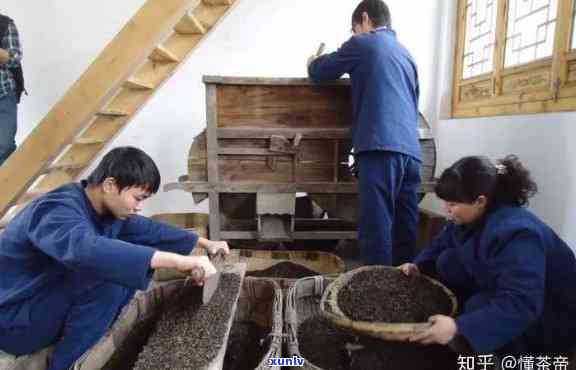 从茶叶选择到 *** 加工：全面了解莆田普洱茶的 *** 流程与要点