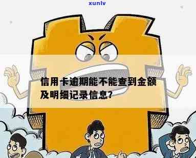 信用卡逾期冻结怎么查询余额明细