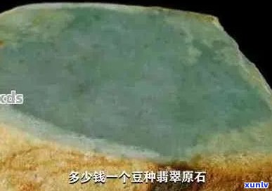 豆绿翡翠原石特征