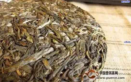 江普洱茶加盟详细条件与要求，全面解答您的疑虑和需求