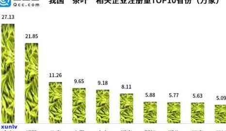 杭州普洱茶排行前十名：探索更受欢迎的茶叶与交易中心