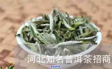 河北普洱茶如何加盟的-河北普洱茶如何加盟的