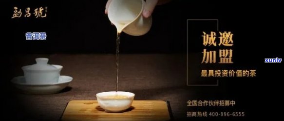 上普洱茶招商联系方式与加盟流程解析，助您轻松开展业务