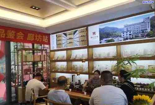 临沂专业普洱茶销售与品鉴店：一站式选购、品鉴与了解普洱茶文化