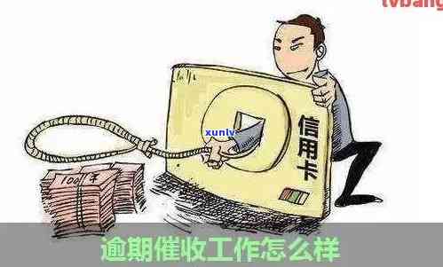 探讨信用卡逾期的必要性与挑战：如何做好这项工作？