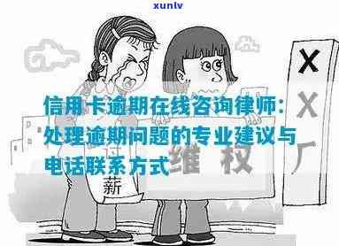 逾期信用卡处理指南：司法所提供专业 *** 咨询服务