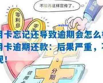 信用卡逾期是否违法？如何避免逾期还款及其后果的全面解析