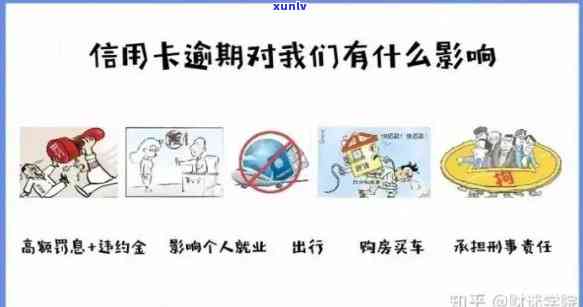 应届业生信用卡逾期问题解决方案：大学生如何应对信用危机