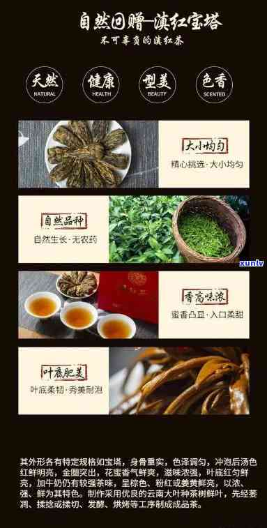 滇红宝塔茶：品种、功效与作用全解析