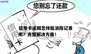 信用卡逾期记录消除指南：怎么办才能恢复信用？